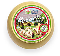 Pecorino | Fresco