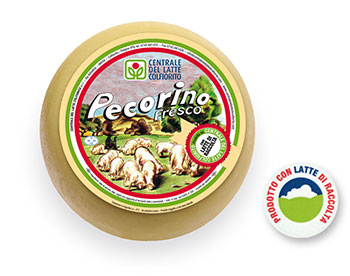 Pecorino fresco