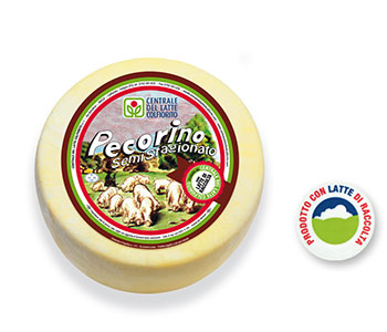 Pecorino semistagionato