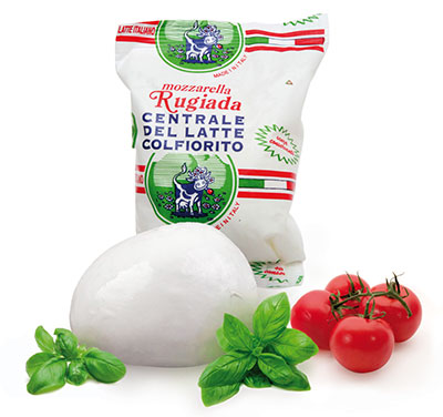 Mozzarella - Palla