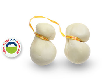 Scamorza bianca