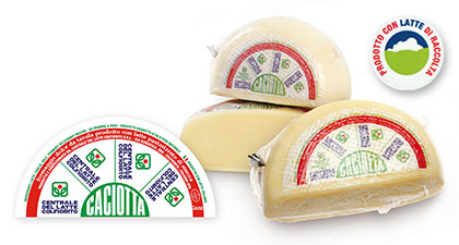 caciotta sottovuoto