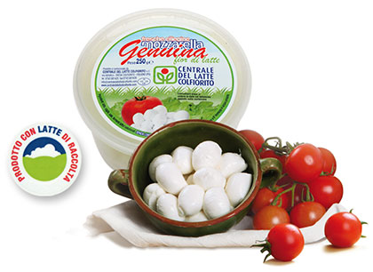Mozzarelle | ciliegine gr.15