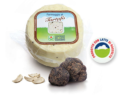 pecorino al tartufo